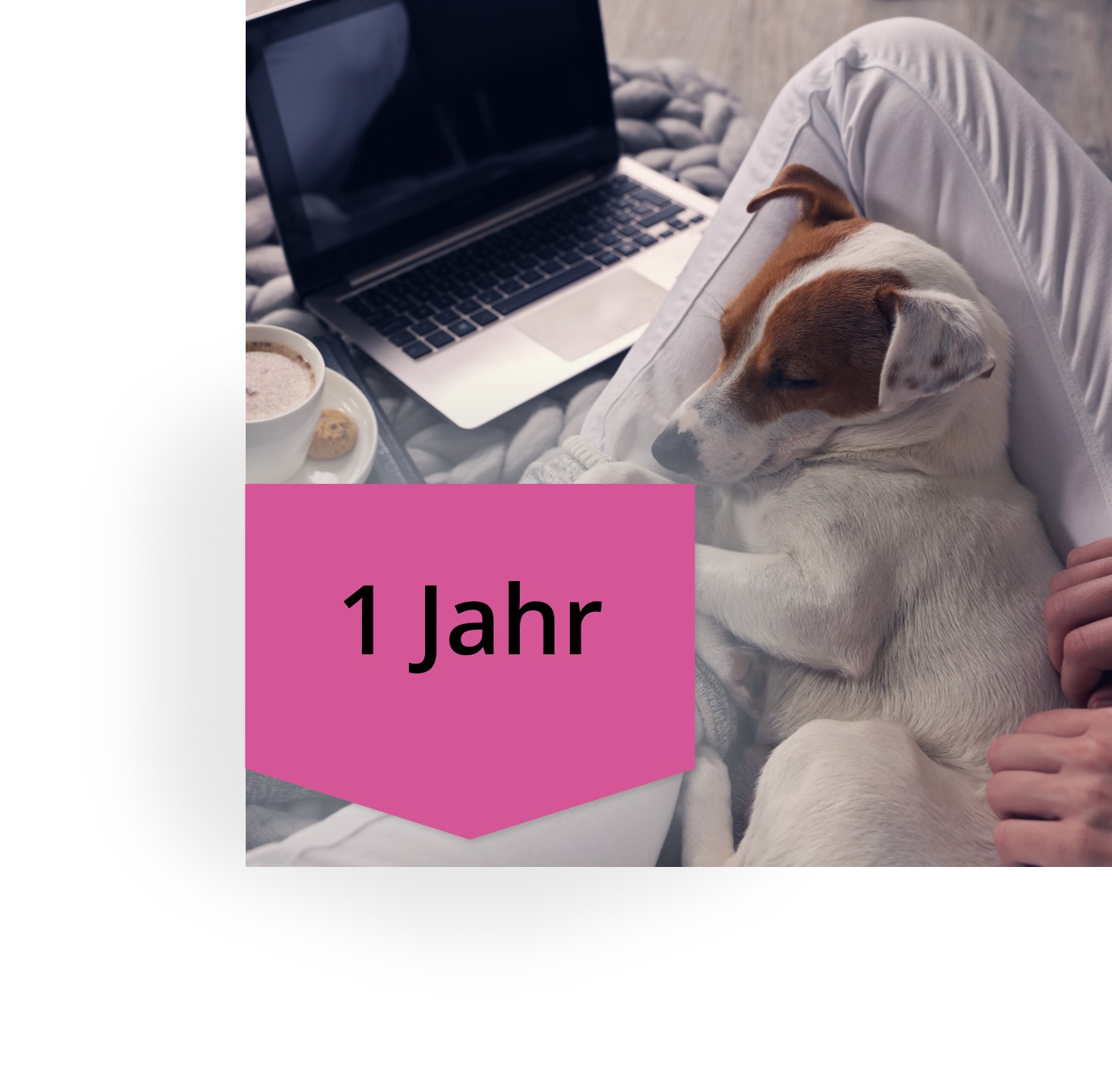 Kurs-Zugriffszeit Verlängerung 1 Jahr