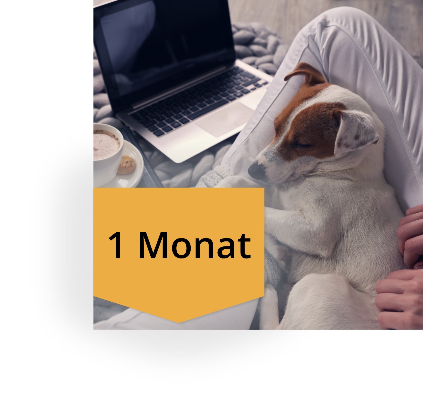 Kurs-Zugriffszeit Verlängerung 1 Monat