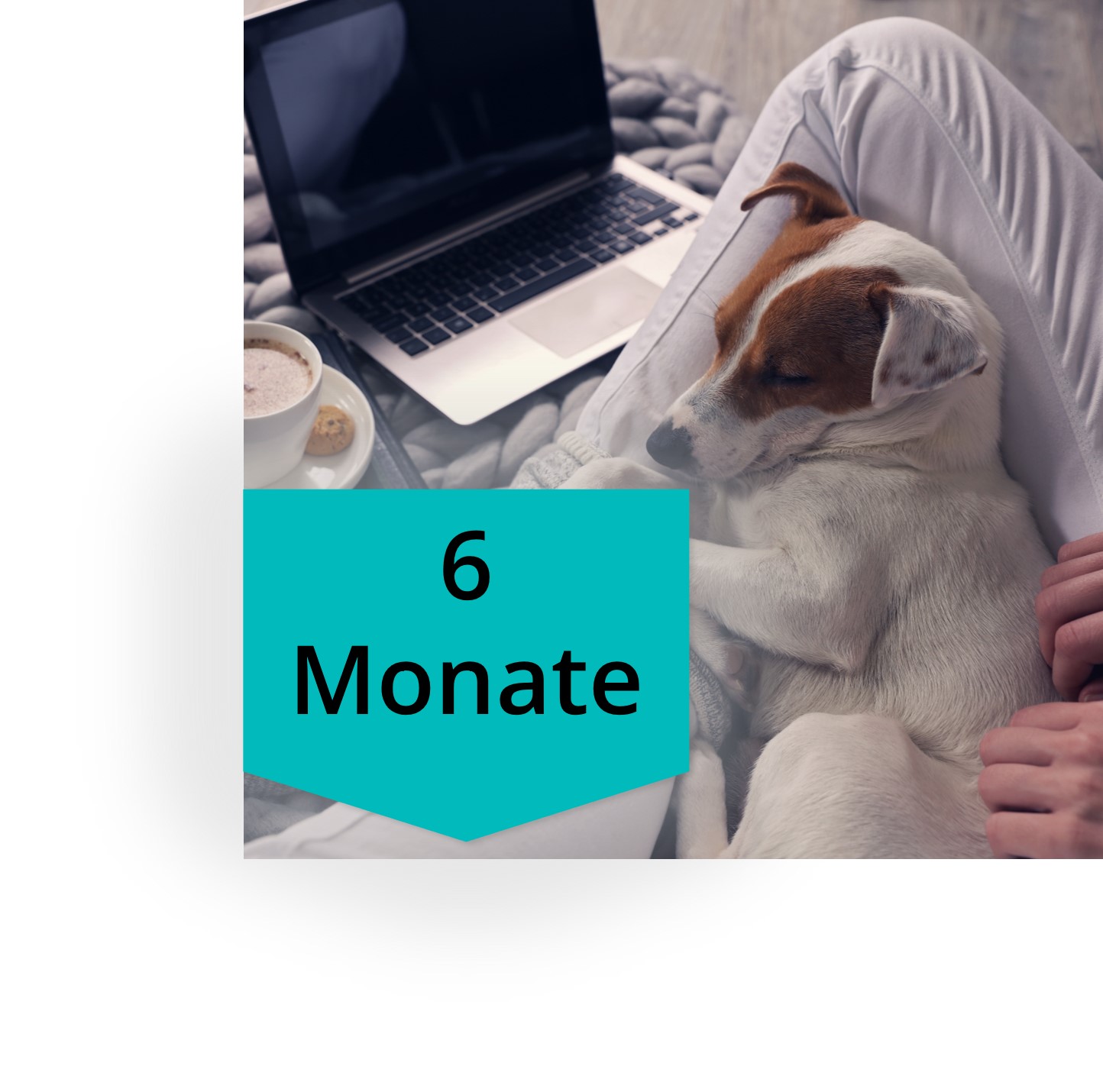 Kurs-Zugriffszeit Verlängerung - 6 Monate