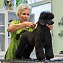 Ausbildung zum Hundefriseur mit Margit Schönauer - Paket Buchung